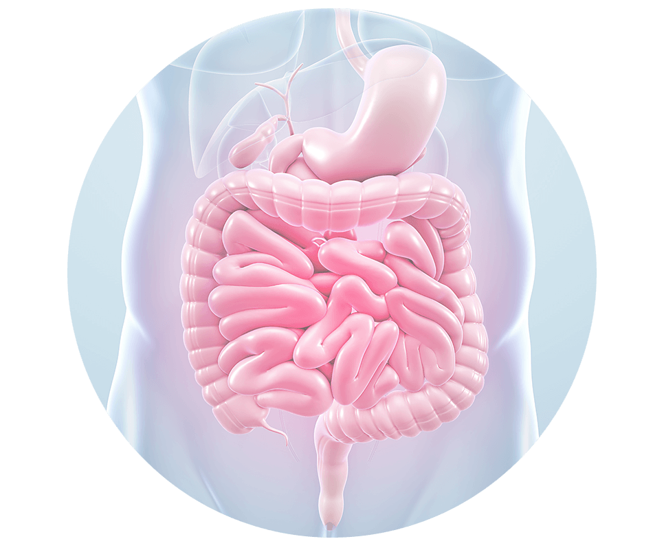 Dieta boli metabolice